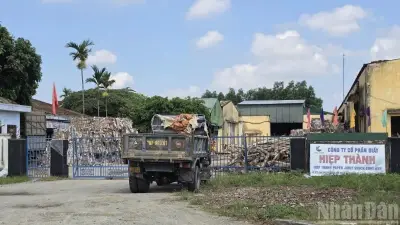 Quảng Ngãi phạt Công ty Giấy Hiệp Thành 446 triệu đồng vì xả thải