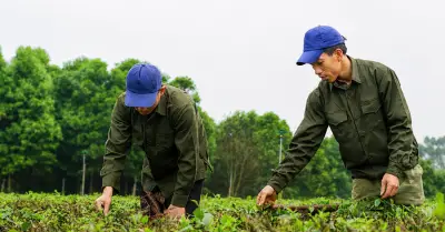 Quảng Ninh: Giảm nghèo thông tin thúc đẩy phát triển kinh tế bền vững