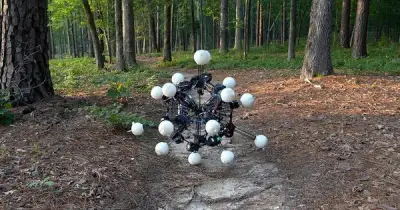 Robot Argus 20 chân: Thiết kế toán học đột phá, thay đổi ngành chế tạo máy