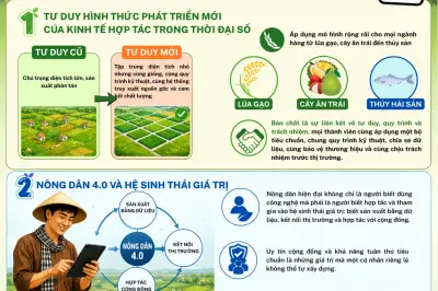 Từ cánh đồng lớn đến cánh đồng có tổ chức: Bước chuyển chiến lược cho nông nghiệp Việt Nam