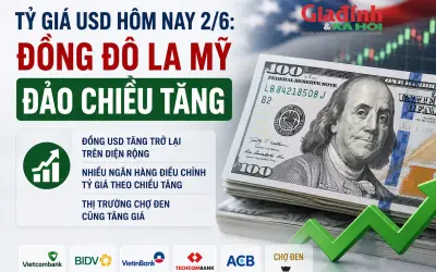 Tỷ giá USD hôm nay 2/6: Đồng đô la Mỹ đảo chiều tăng