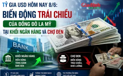 Tỷ giá USD hôm nay 8/6: Biến động trái chiều, đồng đô la Mỹ tại kho bạc và chợ đen
