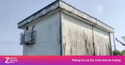 TAND Cà Mau trả hồ sơ vụ đấu thầu liên quan bà Nguyễn Thị Thanh Nhàn