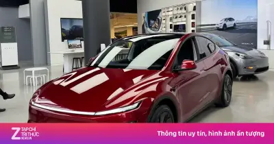 Thị trường xe điện hóa toàn cầu tháng 5/2026: Châu Âu dẫn dắt tăng trưởng