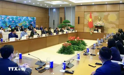 Thúc đẩy cơ hội đầu tư trong lĩnh vực điện gió năng lượng tái tạo tại Việt Nam