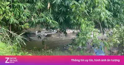 Tìm thấy thi thể bé trai 22 tháng tuổi mất tích trong rừng ở Cao Bằng