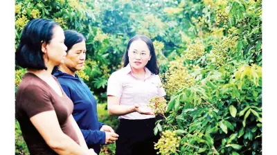 Tín dụng chính sách Hưng Yên: Điểm tựa vững chắc cho giảm nghèo bền vững