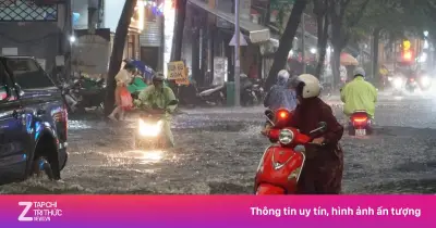 TP.HCM sẽ vận hành phần mềm giám sát thiên tai từ tháng 9/2026