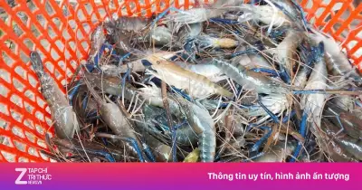 Trung Quốc chi 1,2 tỷ USD mua thủy sản Việt Nam trong 5 tháng