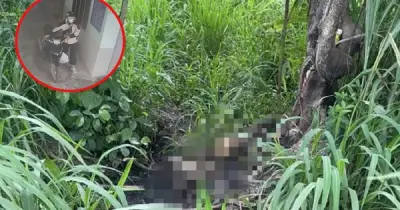 Vụ bộ xương ở Khu đô thị ĐHQG TP.HCM: Nghi là MC 34 tuổi mất tích nhiều ngày