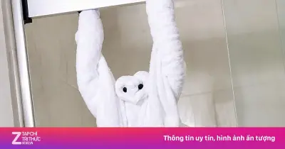 Vì sao khách sạn gấp khăn tắm hình động vật? Bí mật đằng sau nghệ thuật towel origami