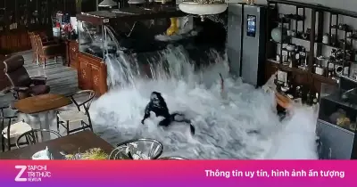Video cảnh bể nổ tung dàn cá quý giấy danh dách trên đất