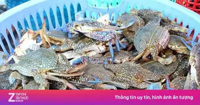 Xuất khẩu ghẹ Việt Nam sang Mỹ tăng 45% trong 4 tháng đầu năm