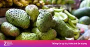 12 lợi ích bất ngờ từ mãng cầu gai cho sức khỏe và sắc đẹp