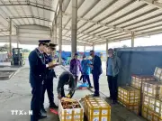 12 nhóm hàng hóa phải làm thủ tục hải quan tại cửa khẩu nhập