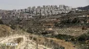 14 quốc gia lên án Israel mở rộng khu định cư ở Bờ Tây