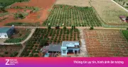 3 trường hợp được giảm 70% tiền chuyển đổi đất vườn lên đất ở theo quy định mới