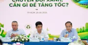 4 điểm nghẽn cần khơi thông để đẩy nhanh chuyển đổi xanh tại Việt Nam