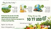 5 tháng năm 2026, xuất khẩu rau quả tăng 20,4%