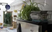 5 vật đại kỵ trên nóc tủ lạnh: Tài lộc tiêu tán, vận may đội nón ra đi