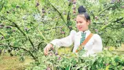 AI và chuyển đổi số thúc đẩy nông nghiệp xanh tại hợp tác xã