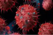 Australia cảnh báo người dân không chủ quan trước dịch cúm