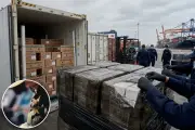 Australia thu giữ ma túy trị giá 36 triệu AUD giấu trong trái cây đông lạnh