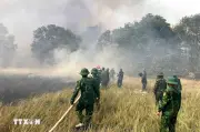 Bộ đội Biên phòng Quảng Trị kịp thời phối hợp không chế nhiều đám cháy
