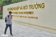 Bộ NN&MT khẳng định không chồng chéo trong hồ sơ chứng minh gỗ hợp pháp
