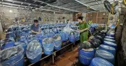 Bắc Ninh khởi tố 3 bị can sản xuất giá đỗ ngậm hóa chất độc hại