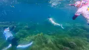 Bãi Cạn Phú Quý: Từ bến thuyền chài thành thiên đường 'sống ảo'