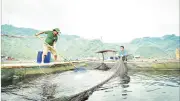 Biến đổi khí hậu đe dọa ngành thủy sản, cần thích nghi và ứng dụng công nghệ