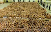 Bên trong siêu nhà tù Cecot: 40.000 tù nhân, không dao nĩa, đèn sáng 24/24