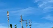 Cà Mau đẩy mạnh giảm nghèo thông tin, hỗ trợ sinh kế bền vững