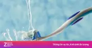 Có nên nhúng bàn chải đã bôi kem vào nước trước khi đánh răng?