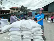 Cao Bằng cấp phát hơn 1.568 tấn gạo hỗ trợ dân giáp hạt năm 2026
