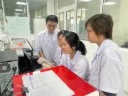 Cao chiết nghệ trắng ức chế tế bào ung thư dạ dày qua cơ chế phân tử