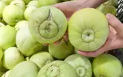 Cách chọn dưa lê ngọt lịm thơm tự nhiên không hóa chất mùa chín rộ