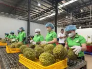 Chủ động xây dựng niềm tin với đối tác xuất khẩu qua truy xuất nguồn gốc