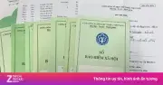 Chưa xem xét giảm năm đóng bảo hiểm xã hội xuống dưới 15 năm