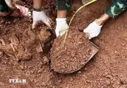Chiến dịch 500 ngày đêm số hóa thông tin mẫu hải cốt liệt sỹ