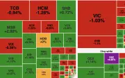 Chứng khoán 17/6: Rung lắc mạnh, VN-Index giảm nhẹ 0,1%