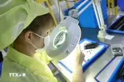 Chuyên gia Pháp phát hiện kẽ hở: Cách công nghệ Việt tránh bẫy bảo hộ
