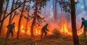 Cháy rừng thông ở Huế do nhóm cắm trại đốt lửa, đã được khống chế