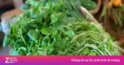 Cải xoong: Loại rau tốt nhất thế giới theo CDC Mỹ, giá rẻ bất ngờ