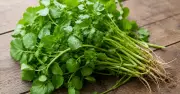 Cải xoong đứng đầu bảng xếp hạng rau củ siêu dinh dưỡng, dễ tìm tại Việt Nam