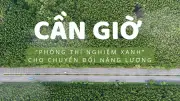 Cần Giờ: Phòng thí nghiệm xanh cho chuyển đổi năng lượng