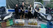 Công an giải cứu 500 con mèo trong đường dây trộm cắp thú cưng đặc biệt lớn
