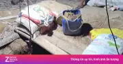 Công an Đắk Lắk điều tra vụ khai thác vàng trái phép tại xã Sông Hinh