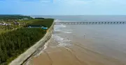 Công ty Công Lý đề nghị hoàn trả 44,79 tỉ đồng tiền sử dụng biển tại dự án điện gió Khai Long
